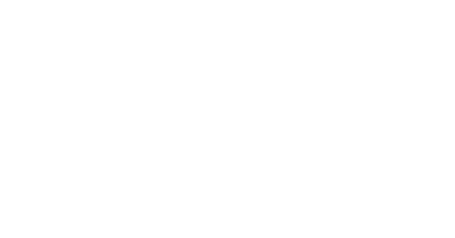 SolBus